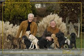 Mark Steffen's dogs