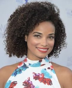 Rochelle Aytes Bio, Wiki, Age, Husband, Movies, Criminal Minds, And Net ...