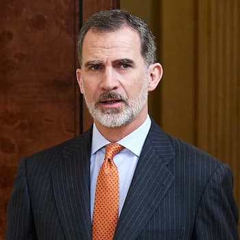 King Felipe Vi Photo